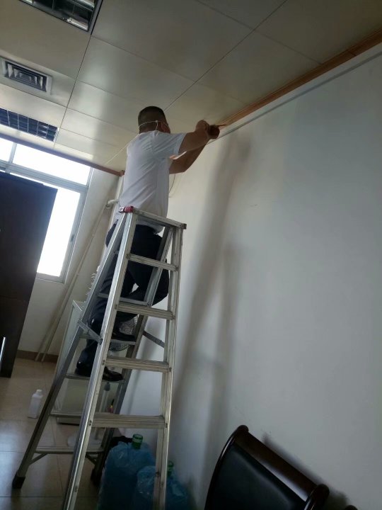 滅白蟻的方法有哪些